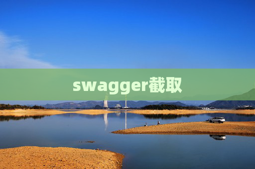 swagger截取